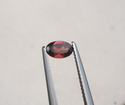 Red garnet oval - , loose
