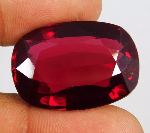 Burma red ruby pigeon - burma,